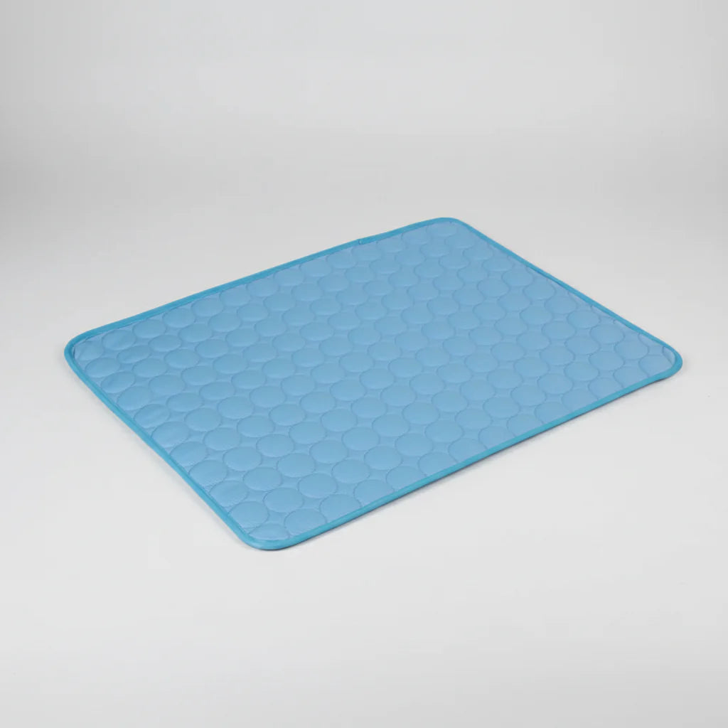 Blue textured mat on a light gray background