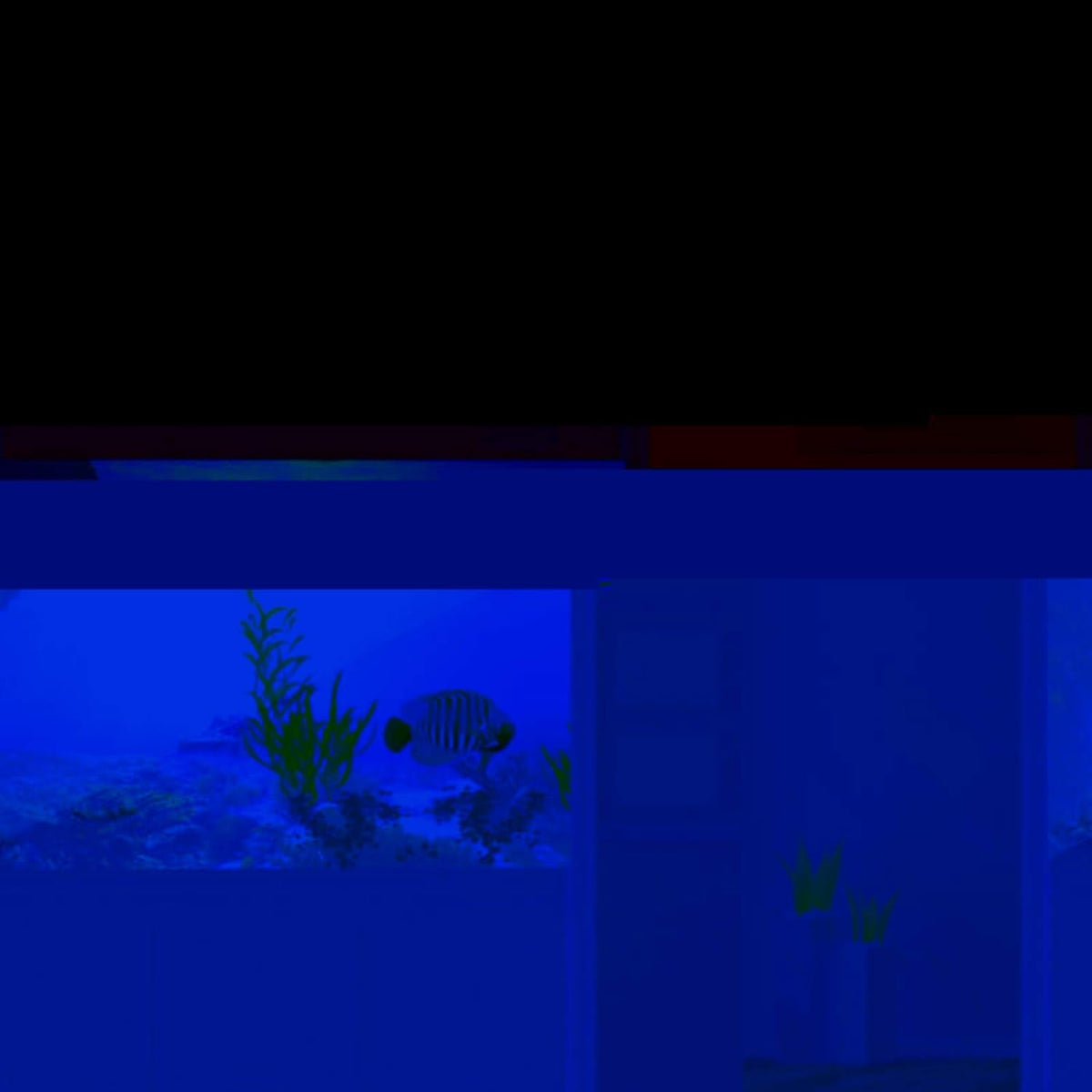 3D Effect Underwater Aquarium Background Poster (61×30cm) MJ's Pet Closet