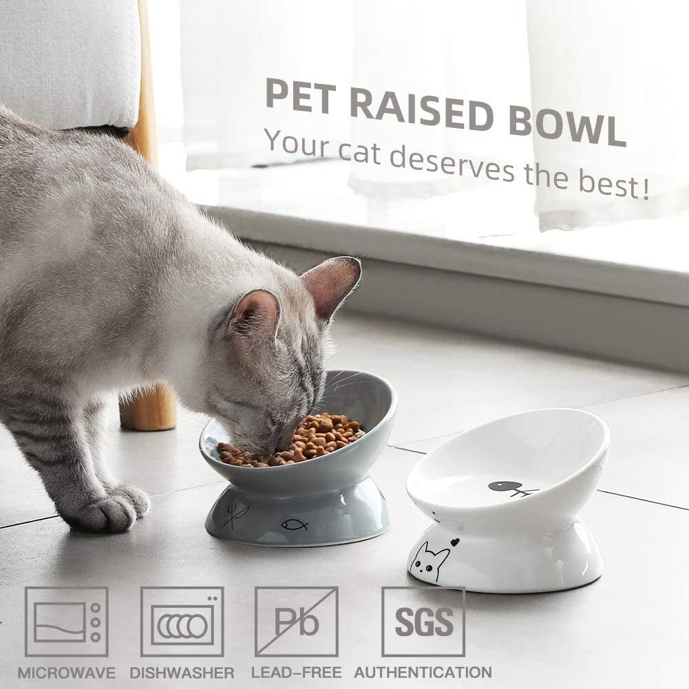 Cat eating from a raised pet bowl with certification logos displayed.