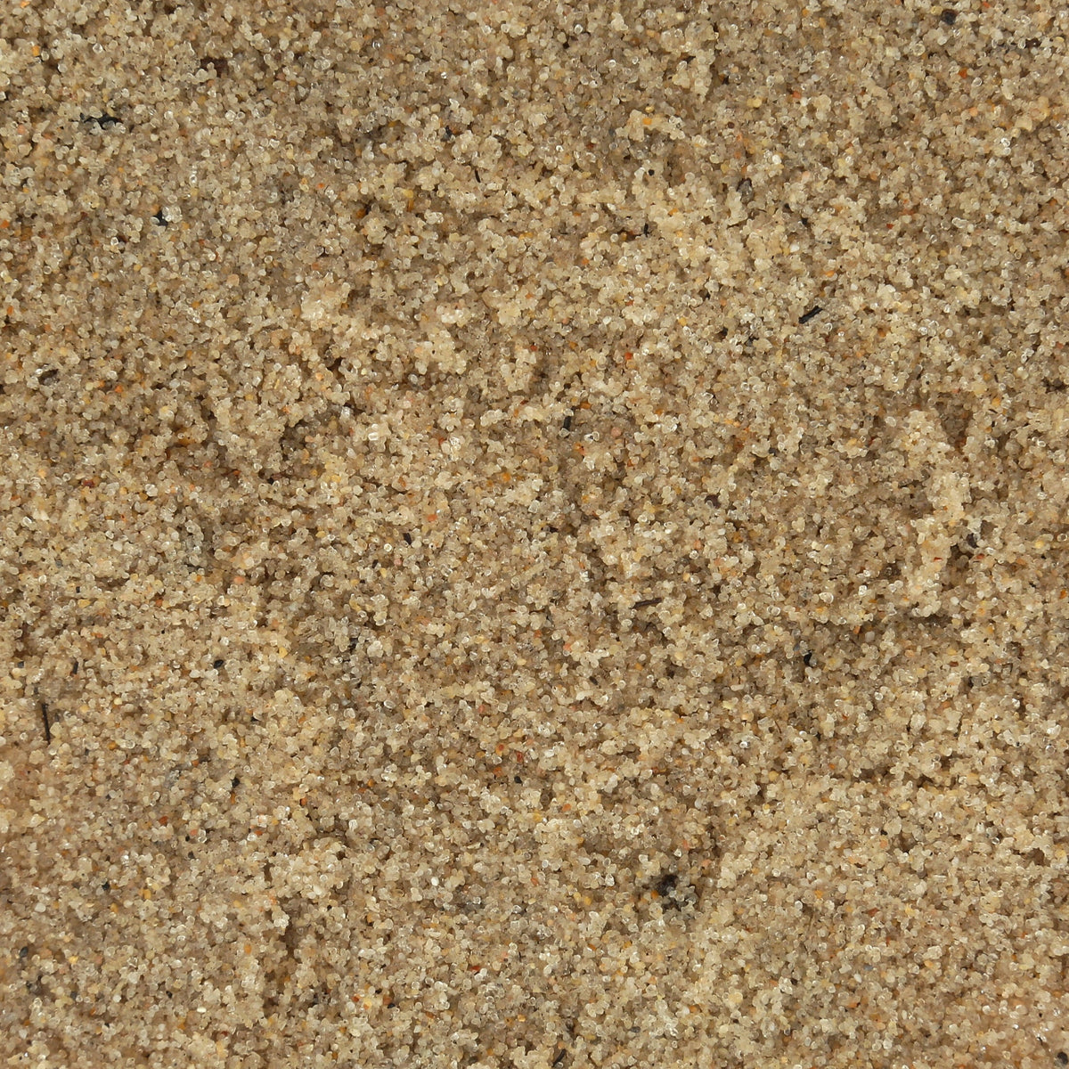 Fluker's All-Natural Beach Sand Substrate for Hermit Crabs – Coconut Fiber, Probiotics & Sea Salt Blend MJ's Pet Closet