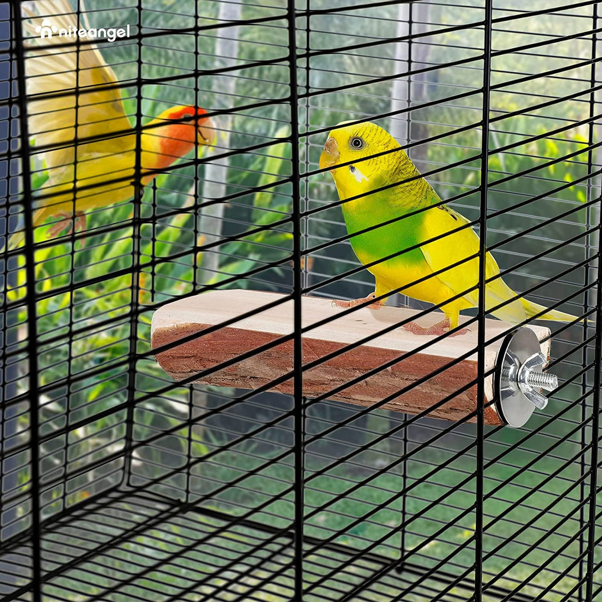 Wooden Platform Bird Perch – 2 Pack, 7" x 3" MJ's Pet Closet