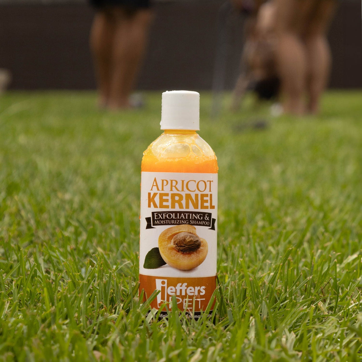 Jeffers Apricot Kernel Pet Shampoo | Exfoliating & Moisturizing Formula Jeffers