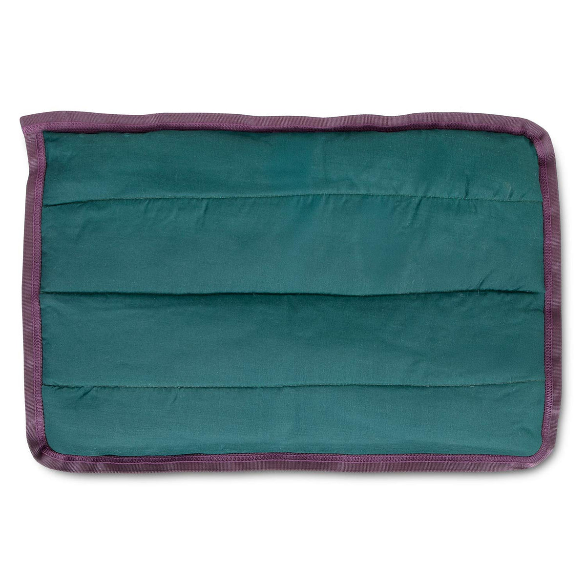Jeffers Washable Comfy Dog Pillow | Crate Mat for Dogs & Cats Jeffers