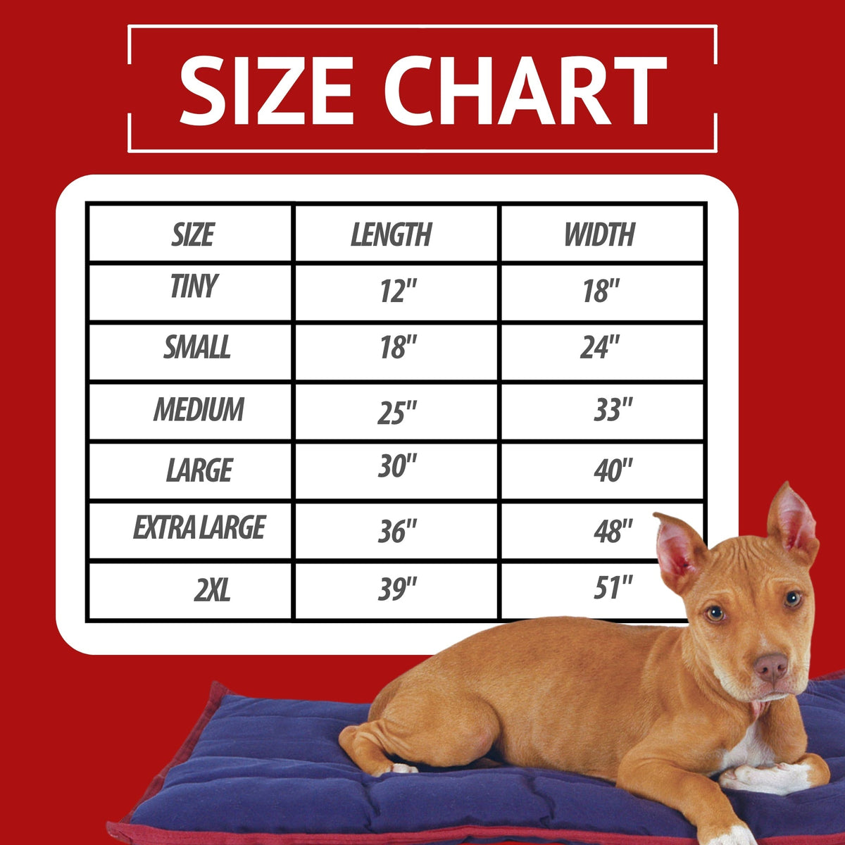 Jeffers Washable Comfy Dog Pillow | Crate Mat for Dogs & Cats Jeffers