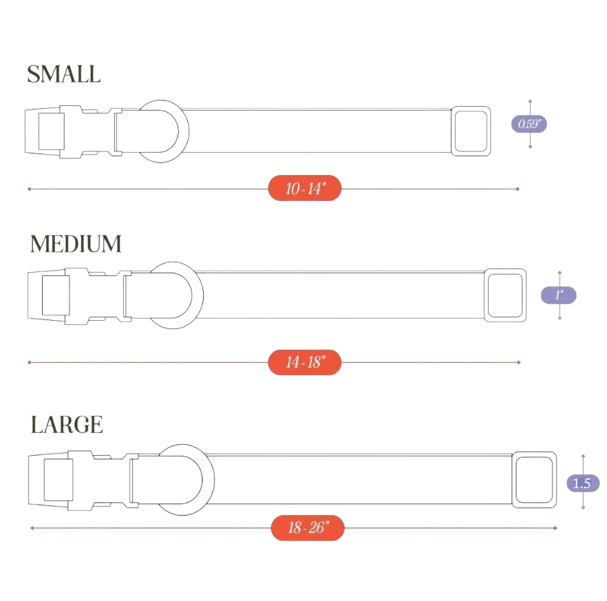 Tilley + Me Joshua Tree Hemp Cotton Dog Collar | Durable, Adjustable & Soft Tilley + Me