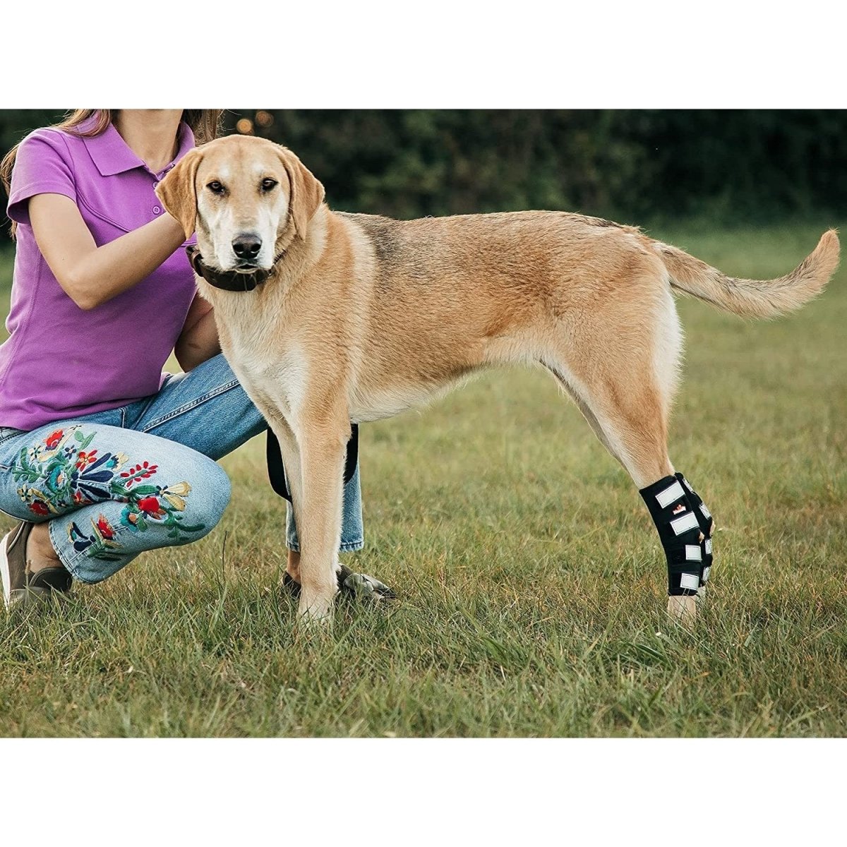 NeoAlly 3-in-1 Long Rear Leg Hock Brace – Rigid & Spring Inserts (Pair) Neoallypets