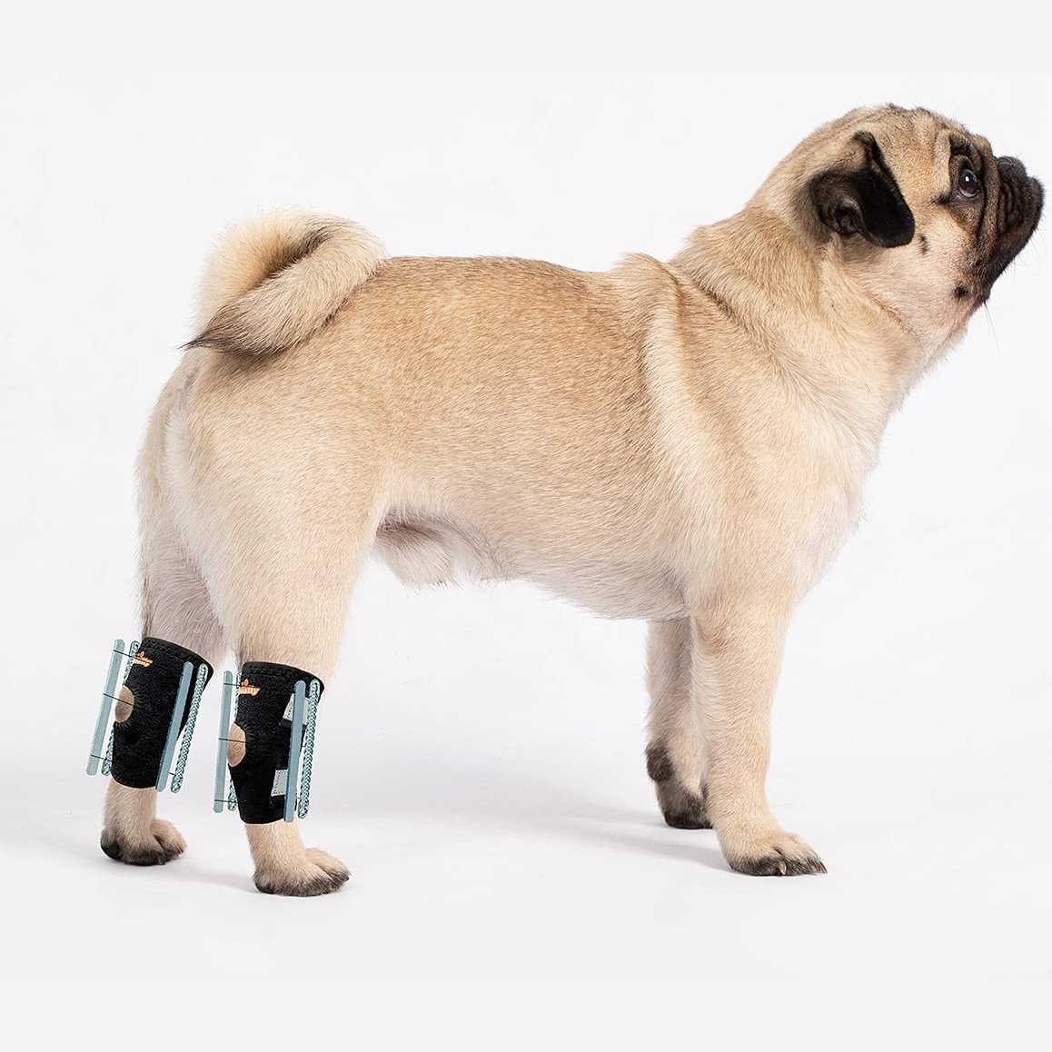 NeoAlly 3-in-1 short rear leg hock brace with rigid and spring inserts for small dogs