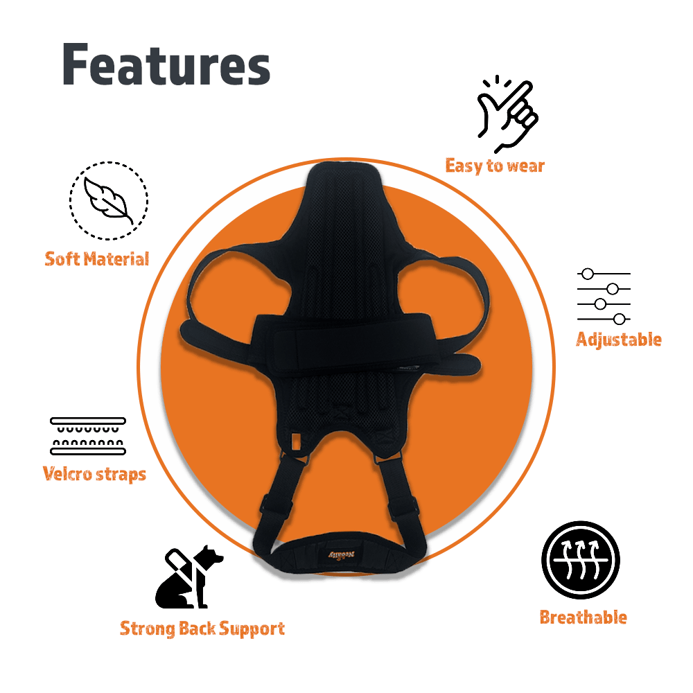 NeoAlly Dog Back Brace with Support Inserts – Spinal Stabilization Neoallypets