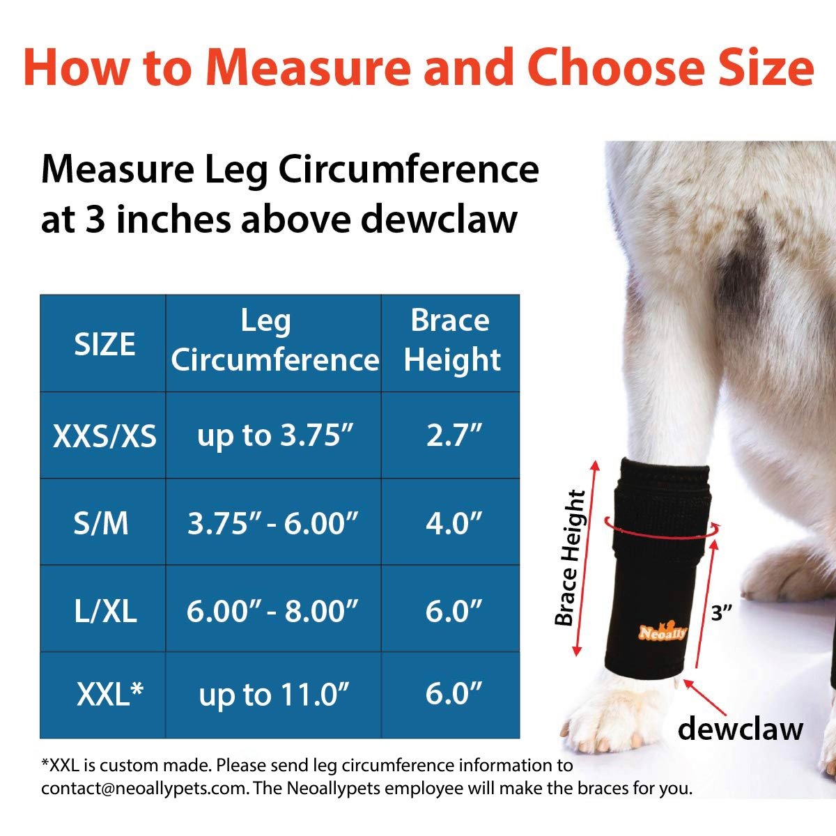 NeoAlly Dog Front Leg Brace with Metal Spring Support (Pair) Neoallypets
