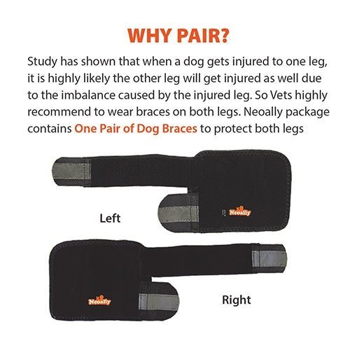 NeoAlly Dog Front Leg Brace – Medium Support, Reflective Straps (Pair) Neoallypets