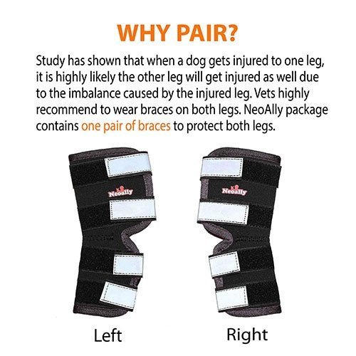 NeoAlly Rear Leg Hock Brace for Large Dogs – Reflective Straps (Pair) Neoallypets