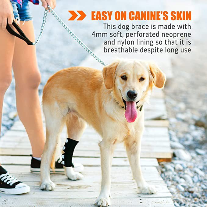 NeoAlly Rear Leg Hock Brace for Large Dogs – Reflective Straps (Pair) Neoallypets
