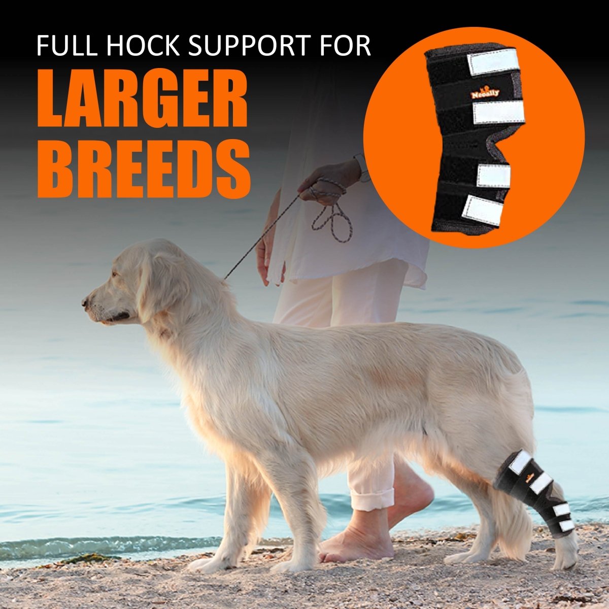 NeoAlly Rear Leg Hock Brace for Large Dogs – Reflective Straps (Pair) Neoallypets