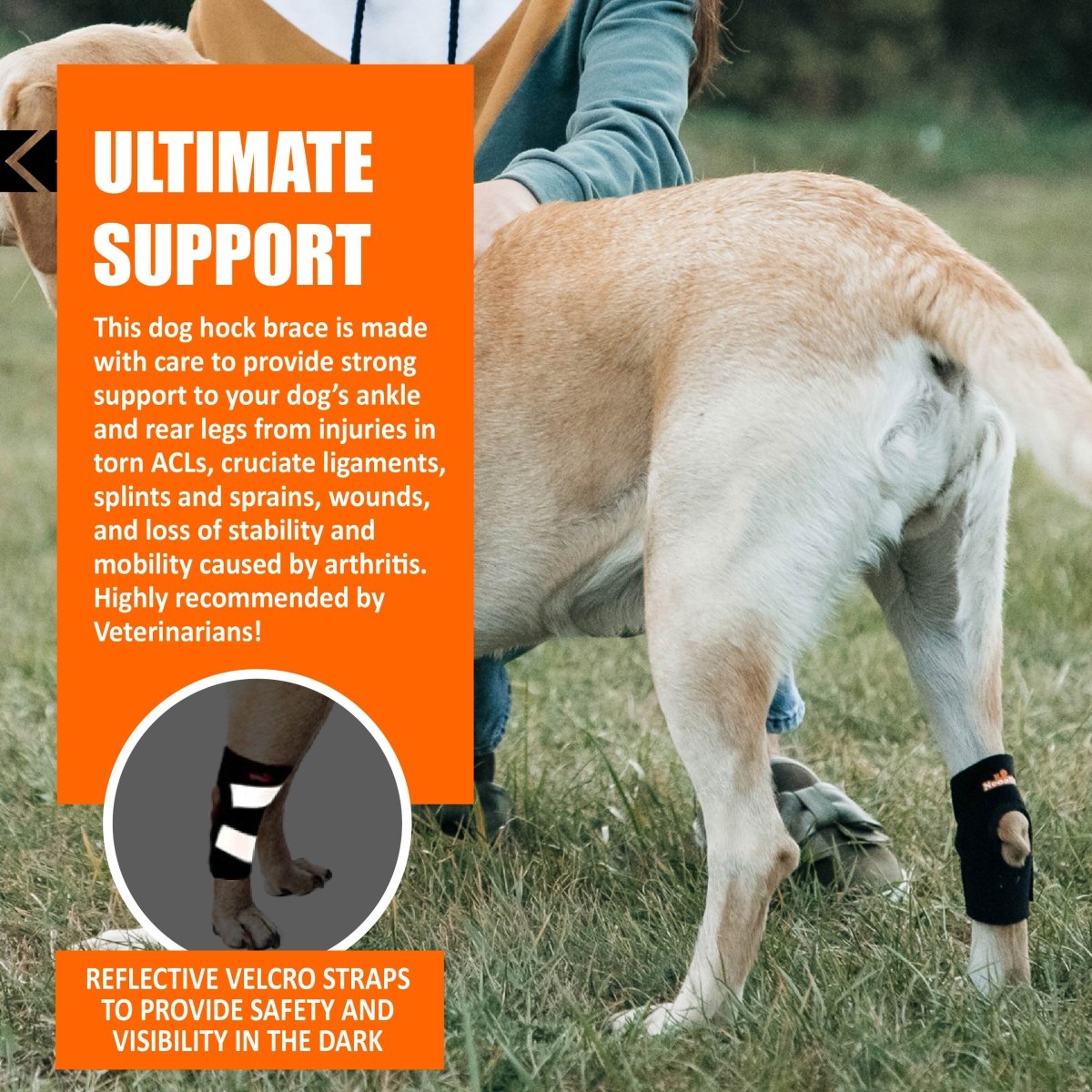 NeoAlly Dog Rear Leg Hock Brace – Reflective Support Straps (Pair) Neoallypets