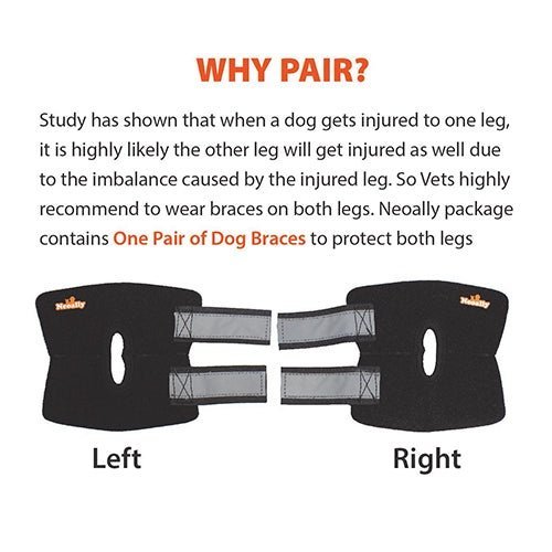 NeoAlly Dog Rear Leg Hock Brace – Reflective Support Straps (Pair) Neoallypets