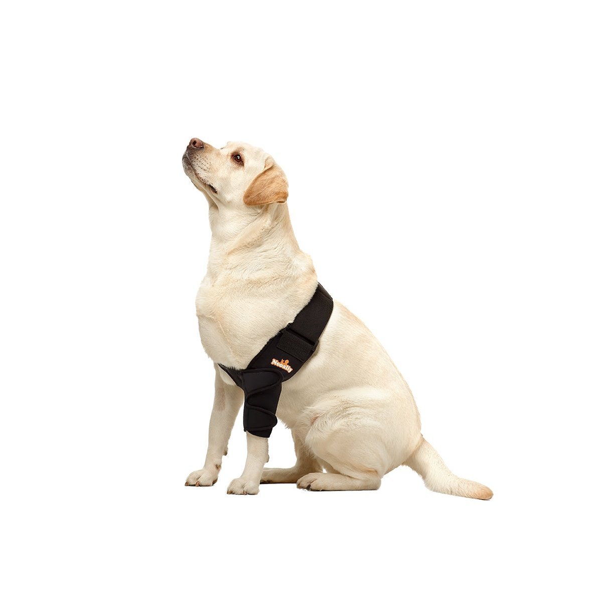 NeoAlly Dog Elbow & Shoulder Brace | Vet-Designed Joint Support for Dogs & Cats | XS–XL Neoallypets