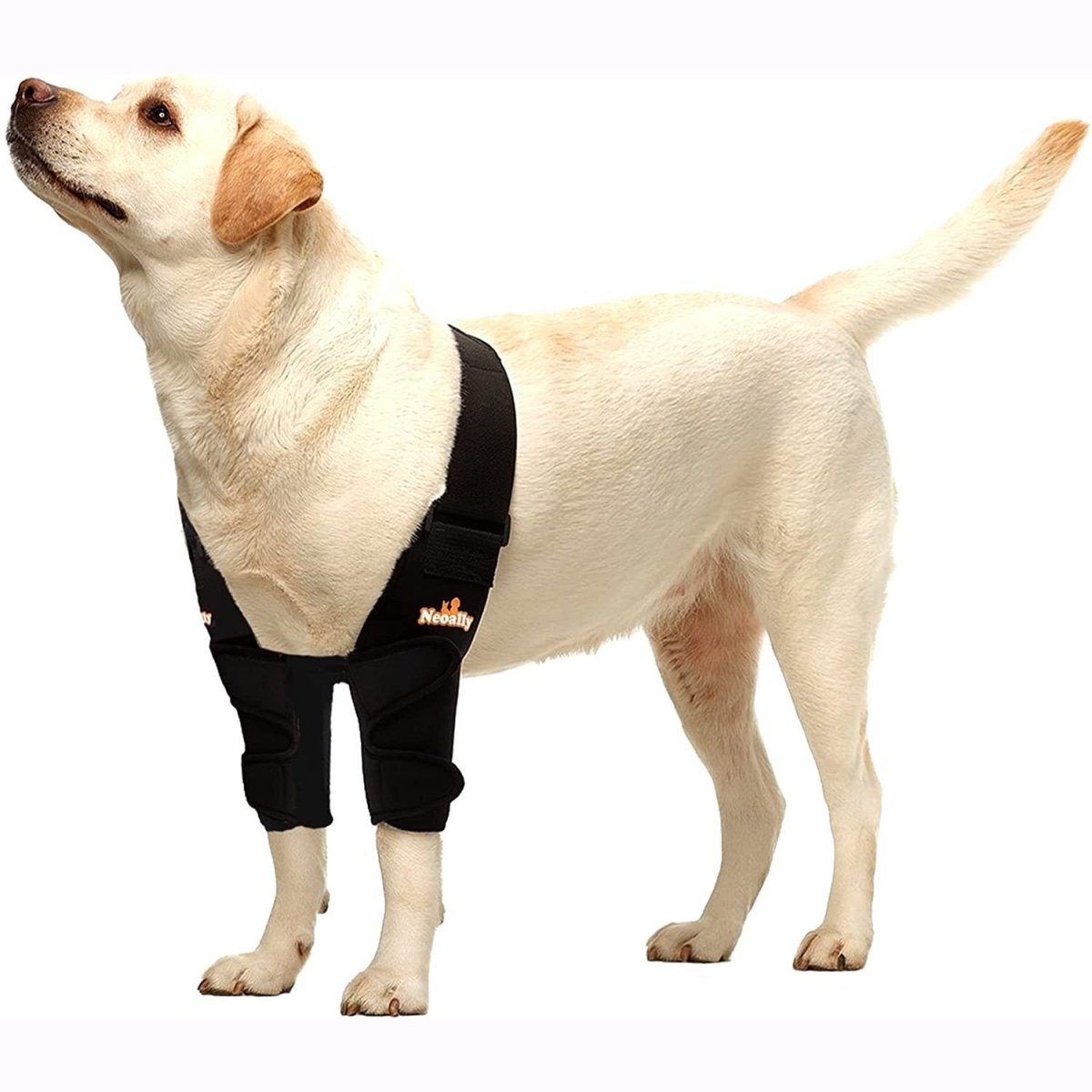 NeoAlly Dog Elbow & Shoulder Brace | Vet-Designed Joint Support for Dogs & Cats | XS–XL Neoallypets