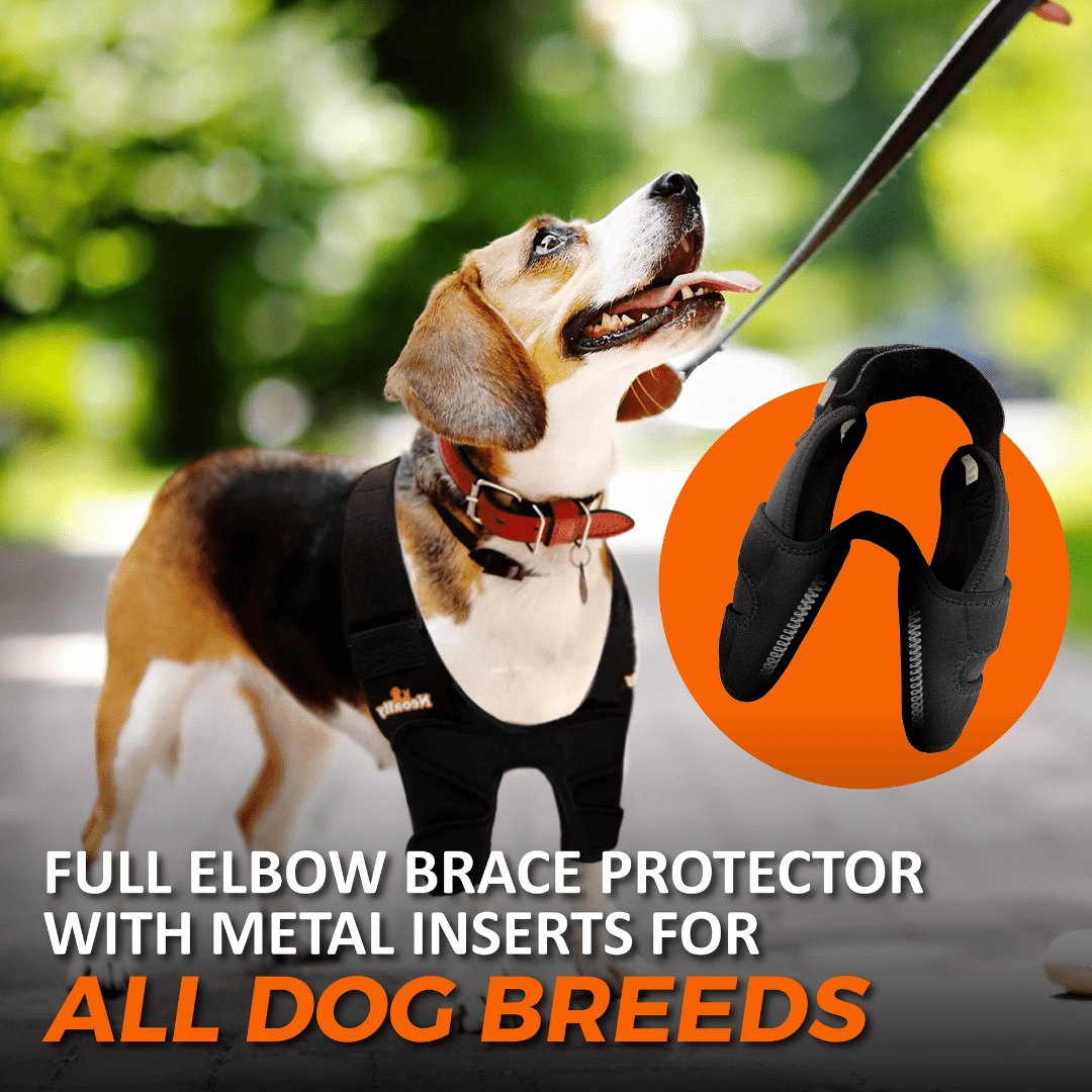 NeoAlly Elbow & Shoulder Brace with Spring Inserts for Dogs & Cats Neoallypets