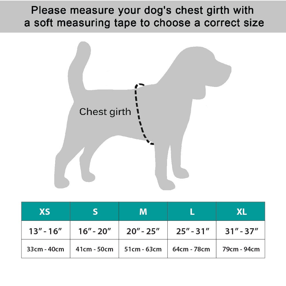 NeoAlly Surgical Recovery Vest for Dogs & Cats – Calming Compression Suit Neoallypets