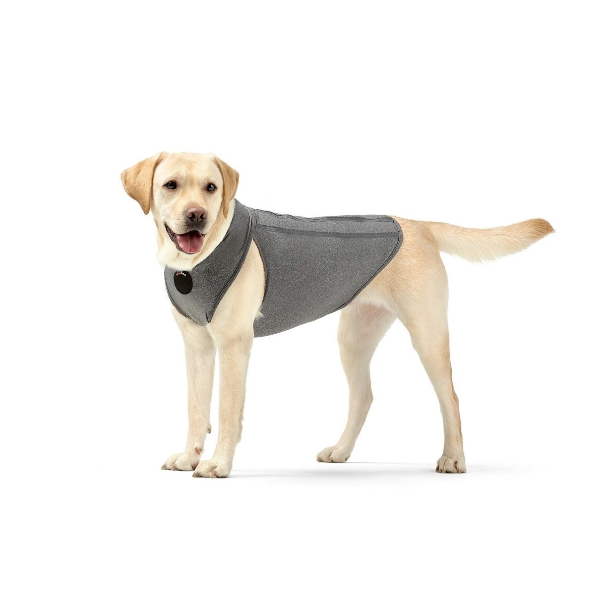 NeoAlly Surgical Recovery Vest for Dogs & Cats – Calming Compression Suit Neoallypets