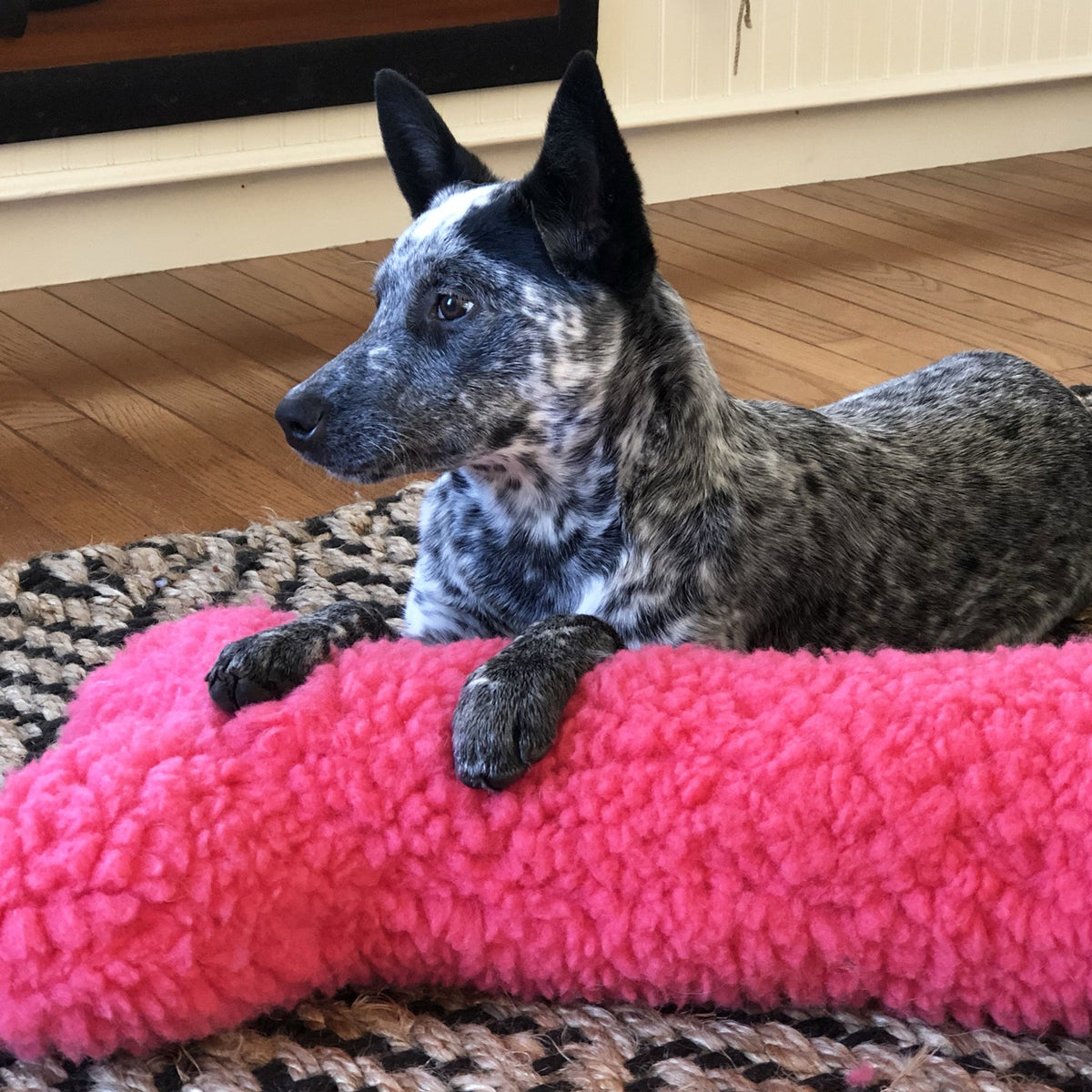HuggleFleece® Pink Bone Dog Toy – HuggleCause™ x Living Beyond Breast Cancer HuggleHounds