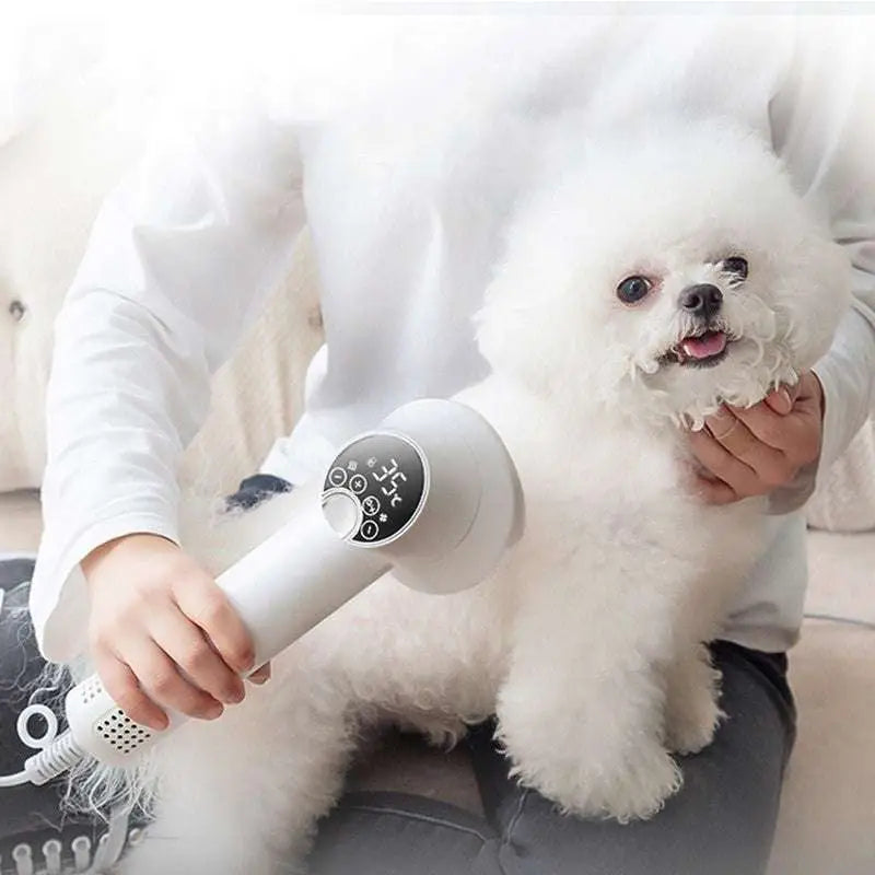 Smart 2-in-1 Pet Hair Dryer with Digital Display Royalessencelux