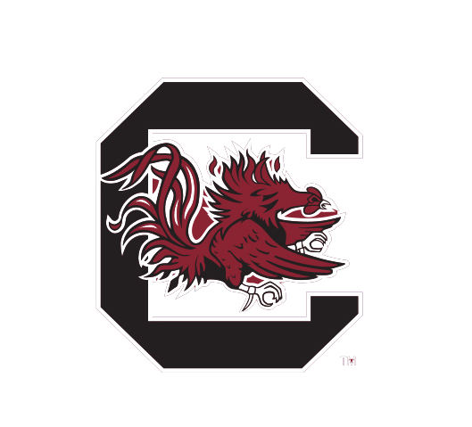 South Carolina Gamecocks Cocky Knottie® Plush Dog Toy – Officially Licensed NCAA HuggleHounds