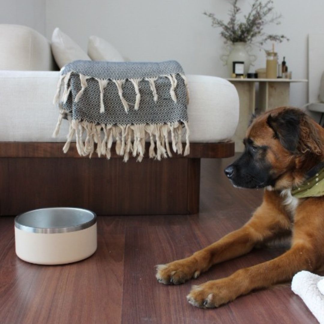 Tilley + Me Stainless Steel Pet Bowl | Non-Slip, Dishwasher Safe | 32oz & 64oz Tilley + Me