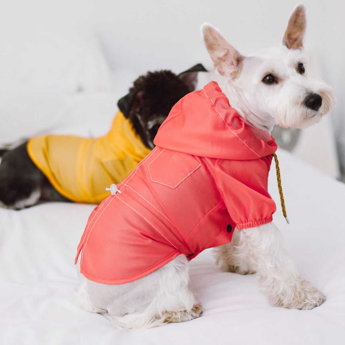 Touchdog Split-Vent Waterproof Dog Raincoat | Reflective, Hooded & Adjustable | XS–XL Pet Life