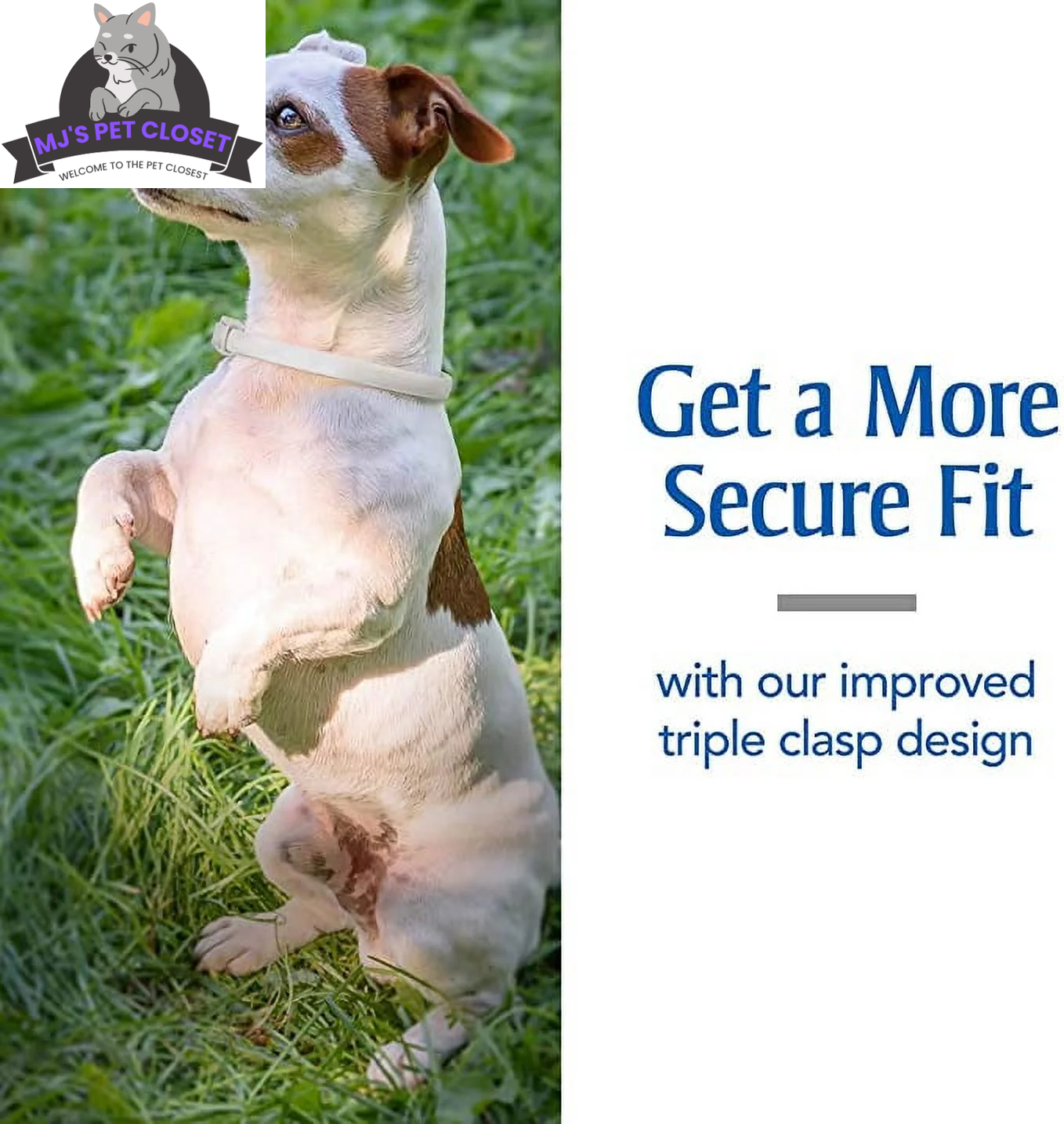PetArmor Plus Flea & Tick Collar for Dogs – 6-Month Protection MJ's Pet Closet