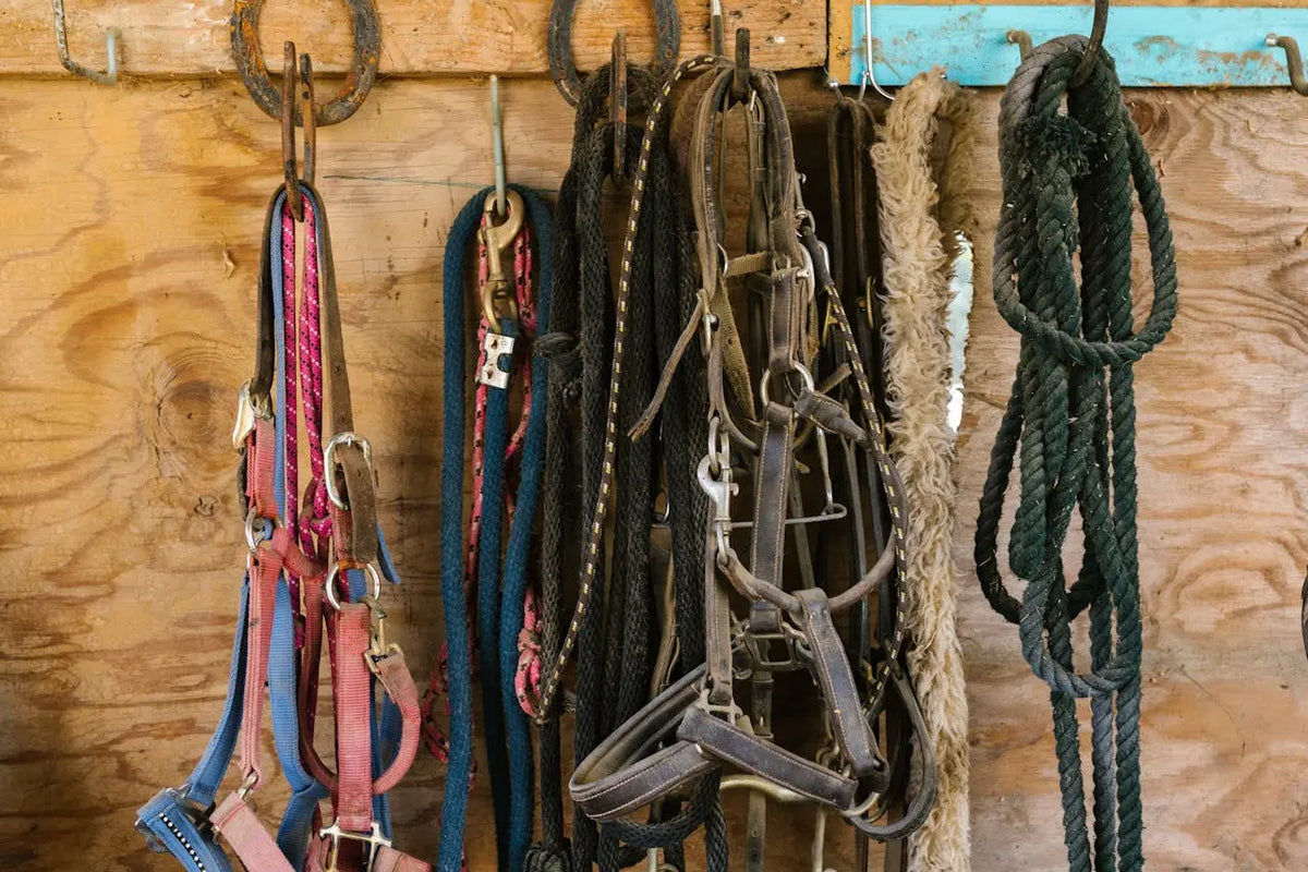 Outdoors & Harnesses BigGrizCritterCorner