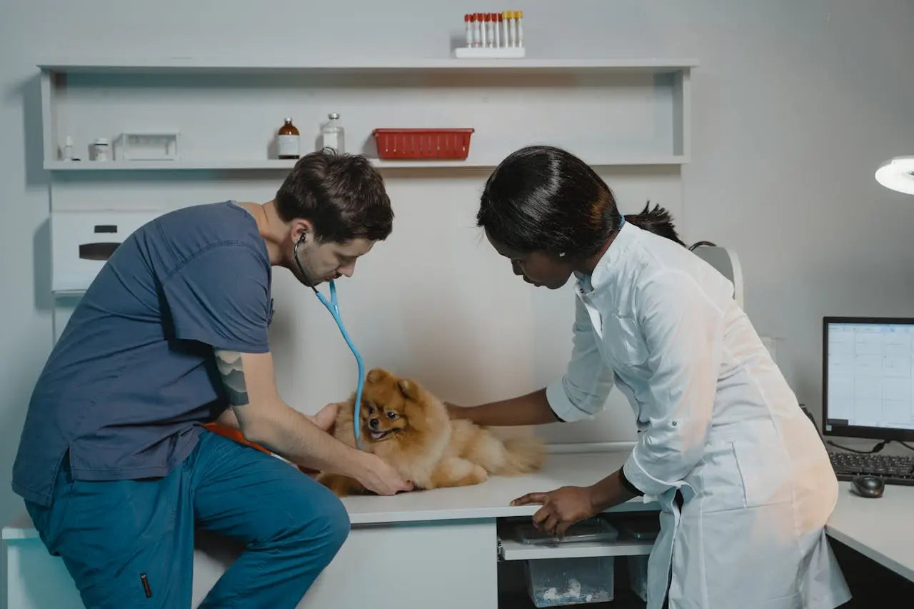 Grooming & Care BigGrizCritterCorner