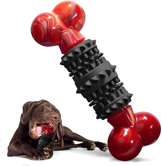 Dog playing with a red and black dog toy on a white background