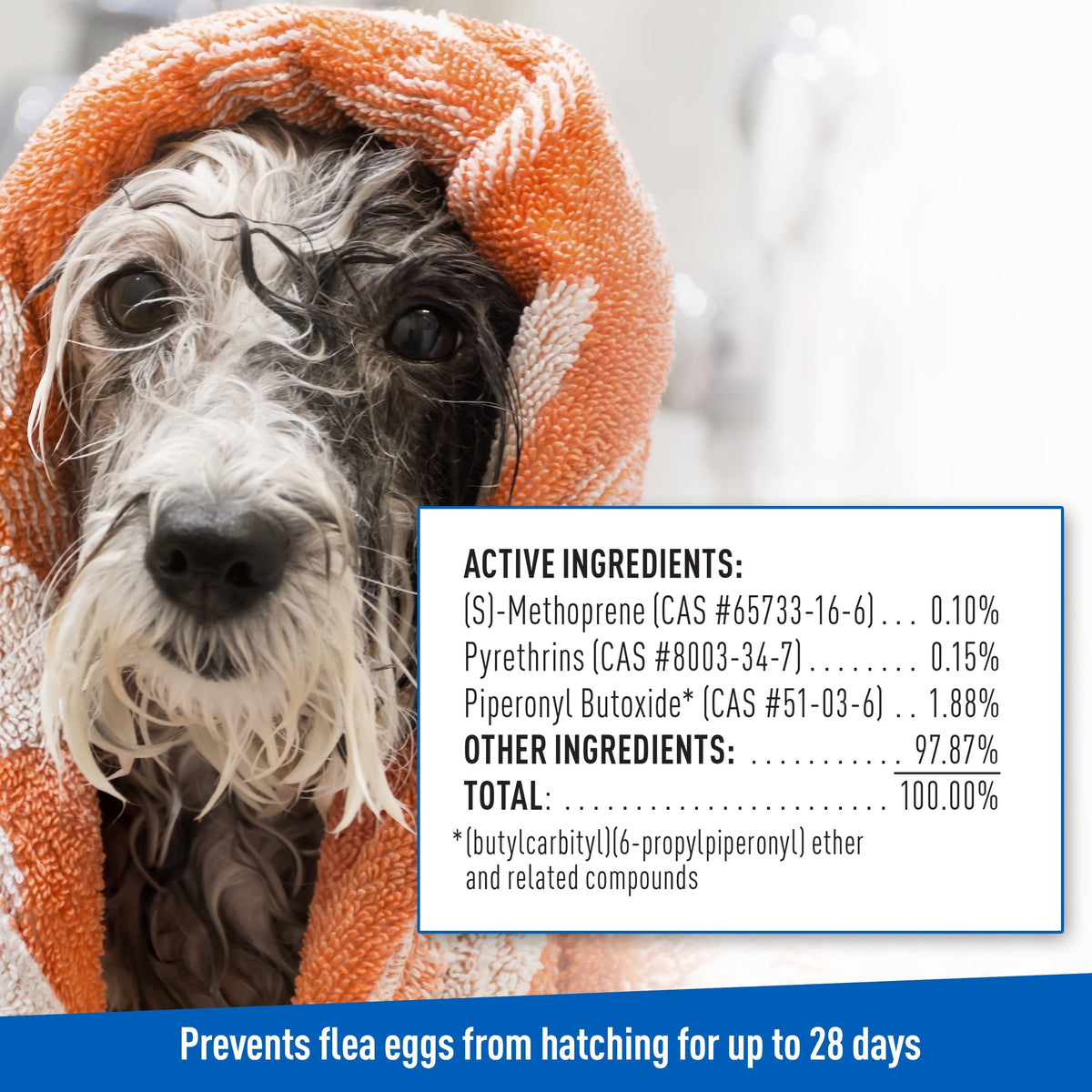 ADAMS Plus Flea & Tick Foaming Shampoo – Sensitive Skin, 2-Pack MJ's Pet Closet