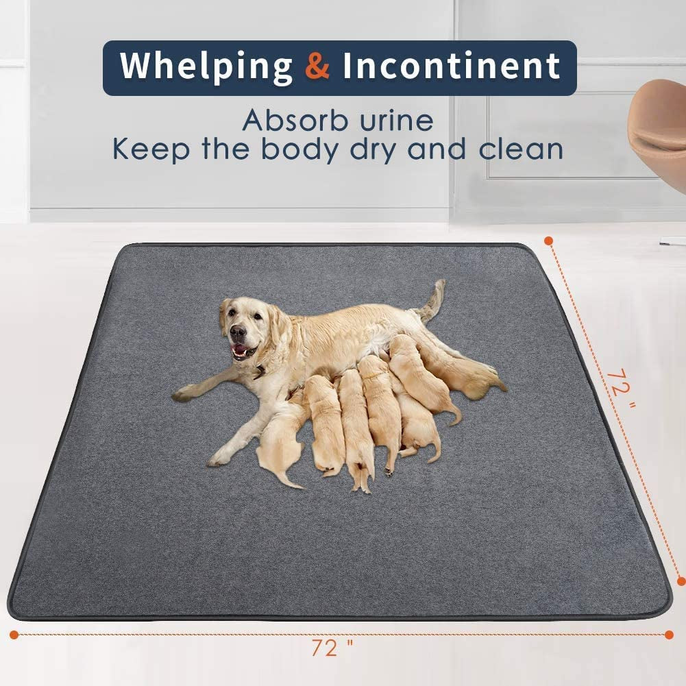 Washable Pee Pads for Dogs – Reusable, Super Absorbent & Non-Slip MJ's Pet Closet