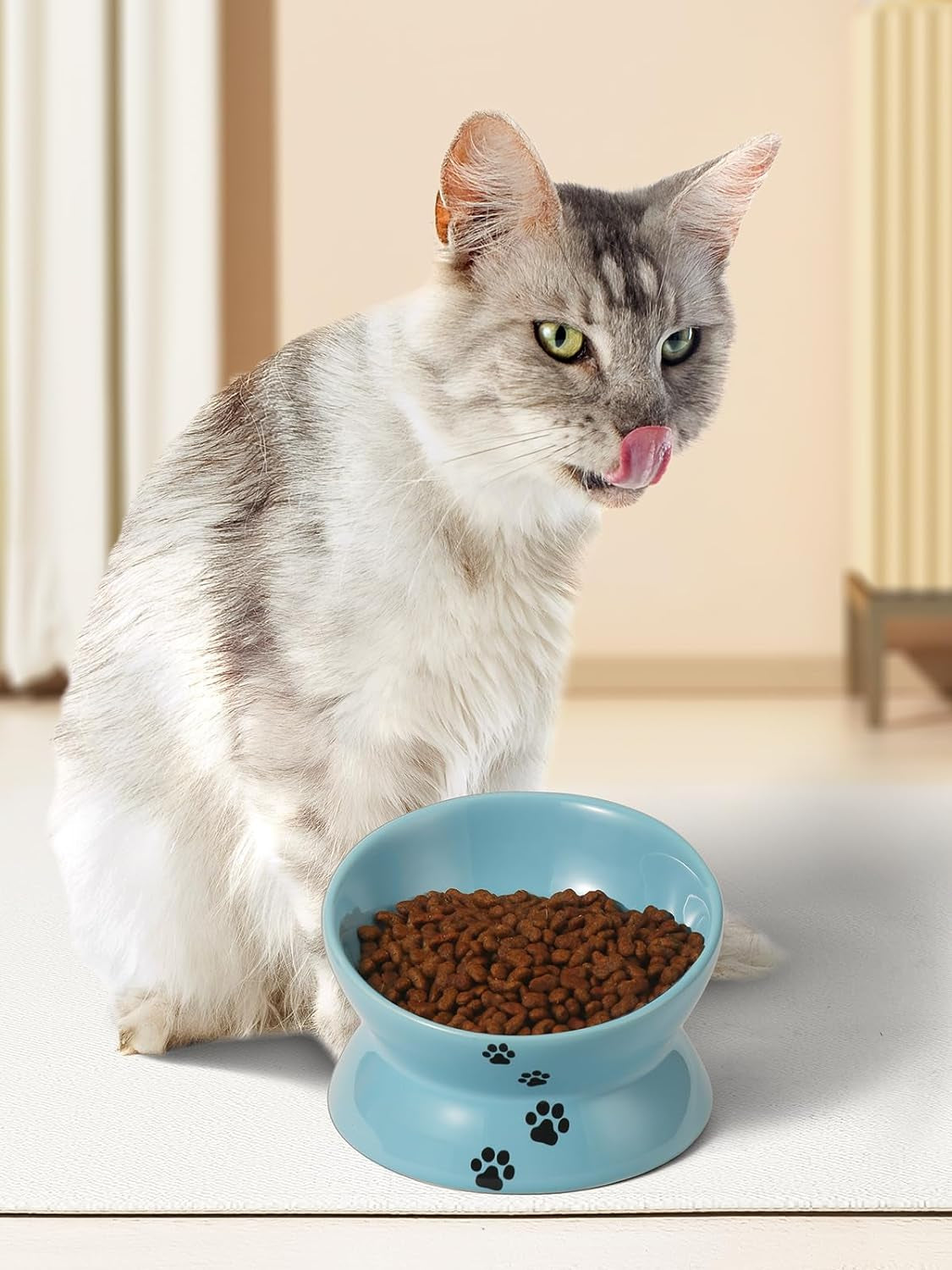 YHY Elevated Ceramic Cat Bowl – Tilted Raised Cat Food Dish for Anti-Vomiting & Neck Relief | Lake Blue MJ's Pet Closet
