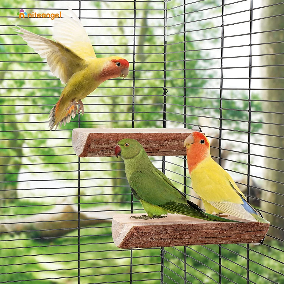 Wooden Platform Bird Perch – 2 Pack, 7" x 3" MJ's Pet Closet