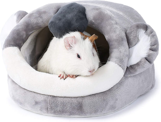 White guinea pig inside a gray and white pet cave on a white background