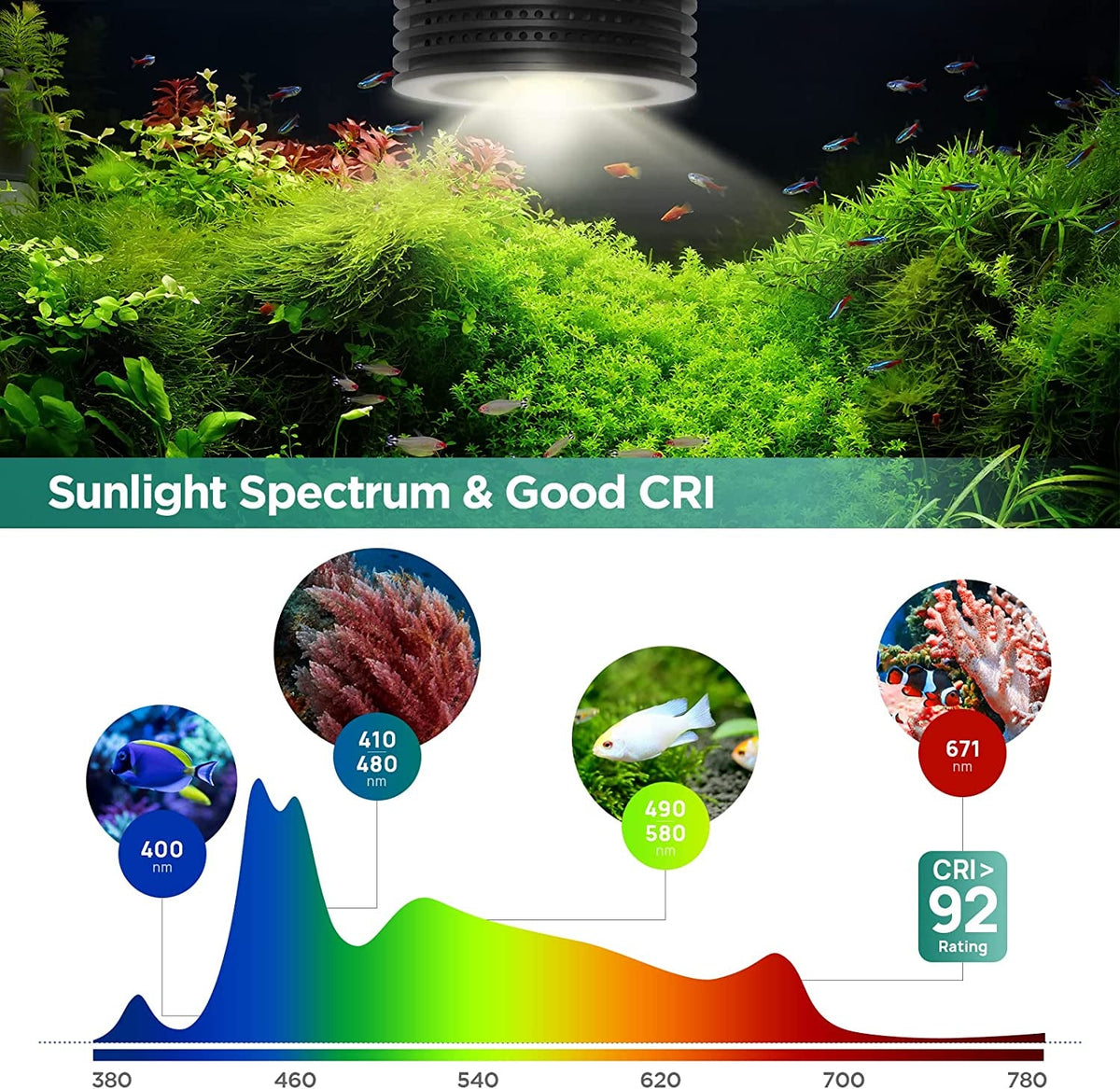 Asta 20 LED Planted Aquarium Light – 4-Channel Full Spectrum Clip-On Tank Light with Remote Control | For 5 Gallon Freshwater Tanks MJ's Pet Closet