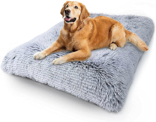 Dog lying on a fluffy gray pet bed with a white background
