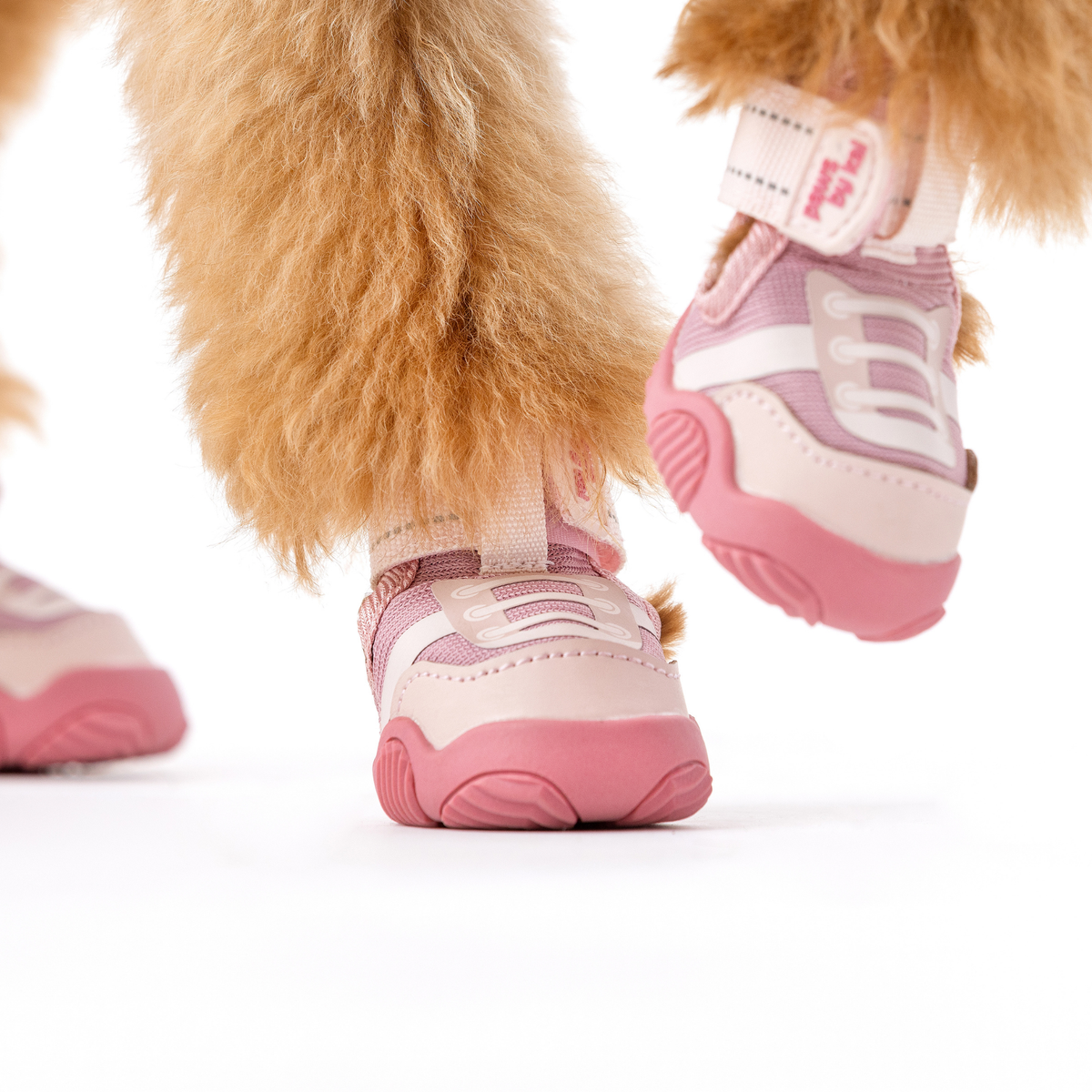 The Kai Dog Sneaker – All-Season Sport Shoes Paws By Kai