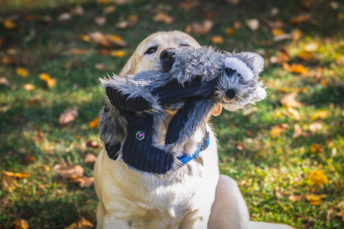 Redwood Raccoon X-Brace™ Plush Dog Toy – Squeaky, Crinkle & Machine Washable, 19" HuggleHounds