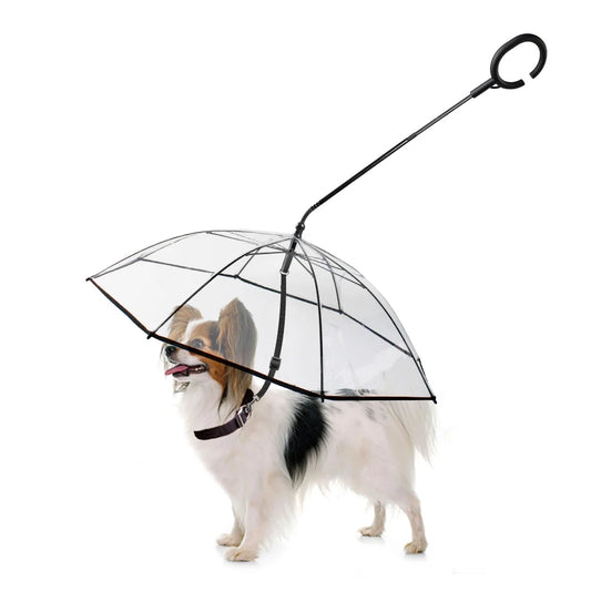 Dog wearing a transparent pet umbrella on a white background