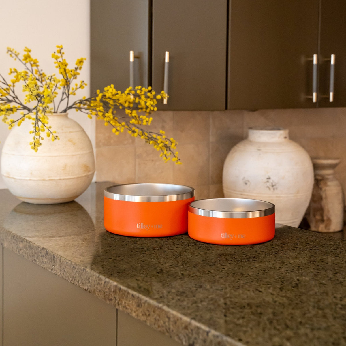 Tilley + Me Stainless Steel Pet Bowl | Non-Slip, Dishwasher Safe | 32oz & 64oz Tilley + Me