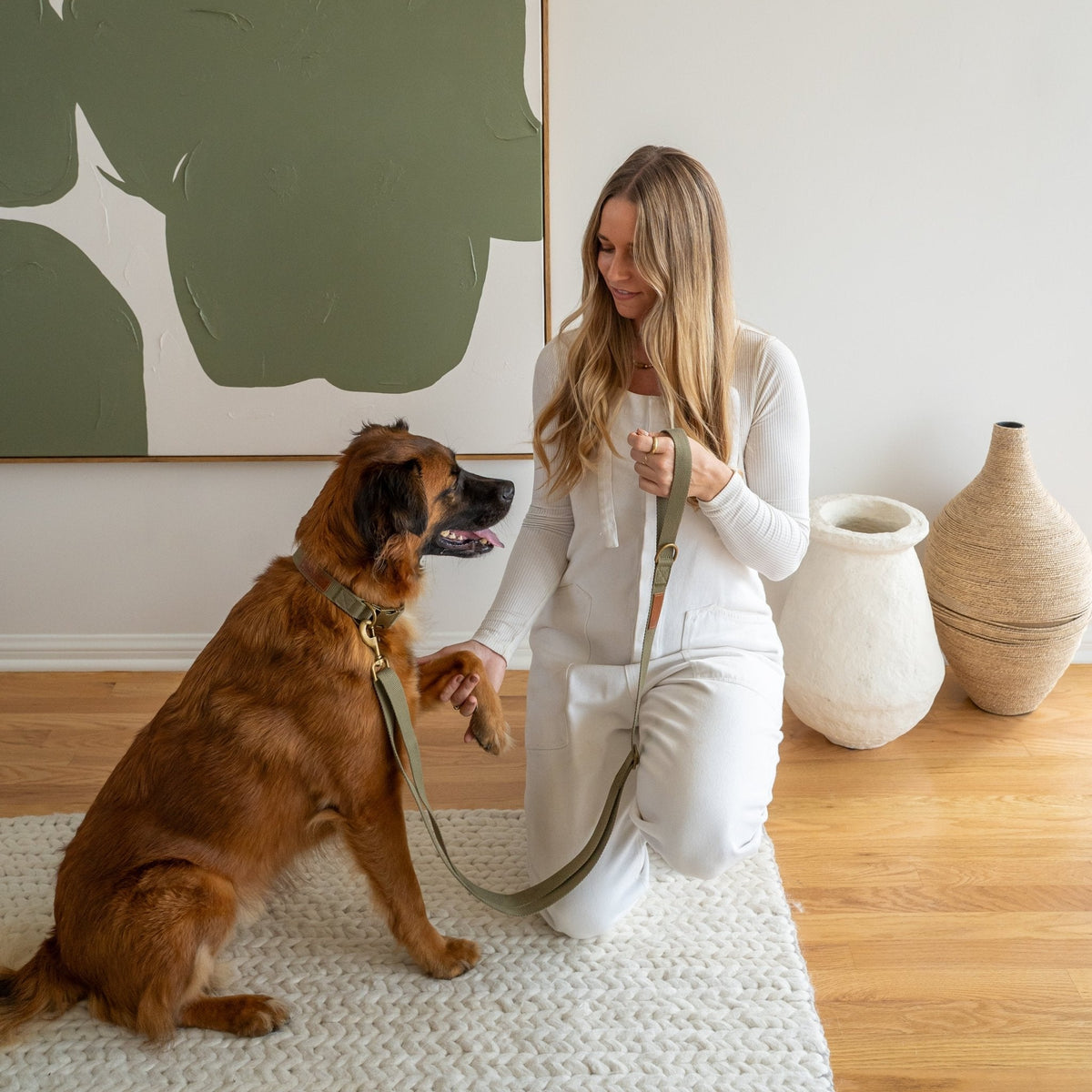 Tilley + Me Joshua Tree Hemp Cotton Dog Collar | Durable, Adjustable & Soft Tilley + Me