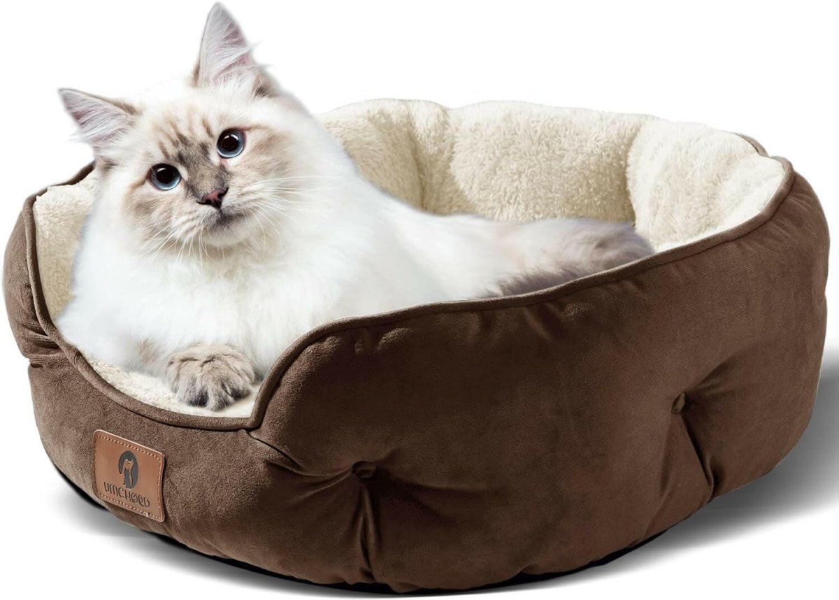 Cat lying in a brown pet bed with a white interior