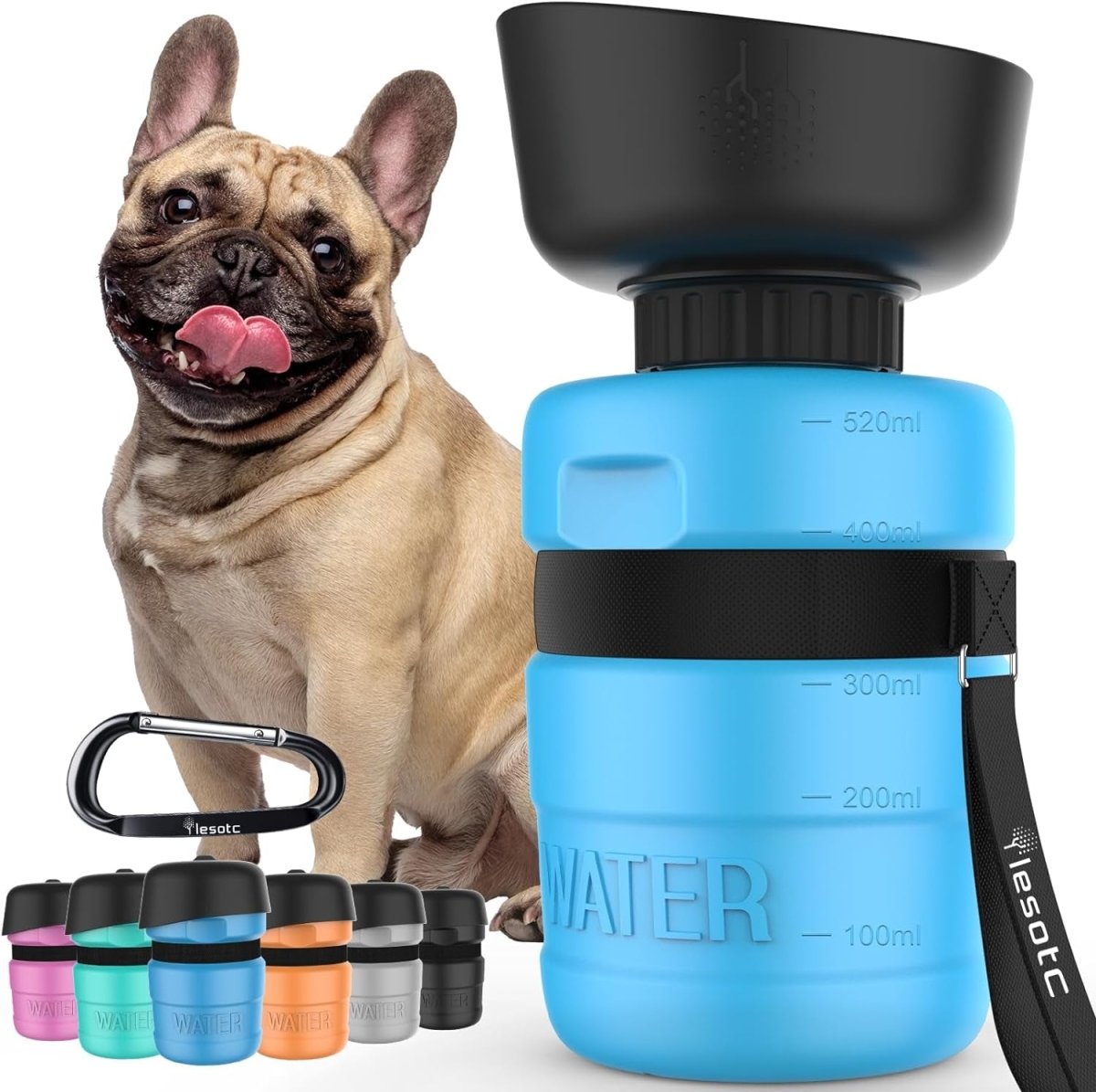 Blue dog water bottle with black carabiner and a dog in the background