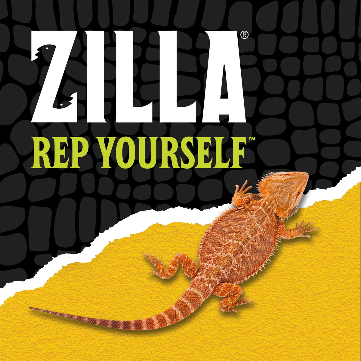 Zilla Desert Blend Ground Walnut Shell Substrate for Reptiles – 5 Quarts MJ's Pet Closet
