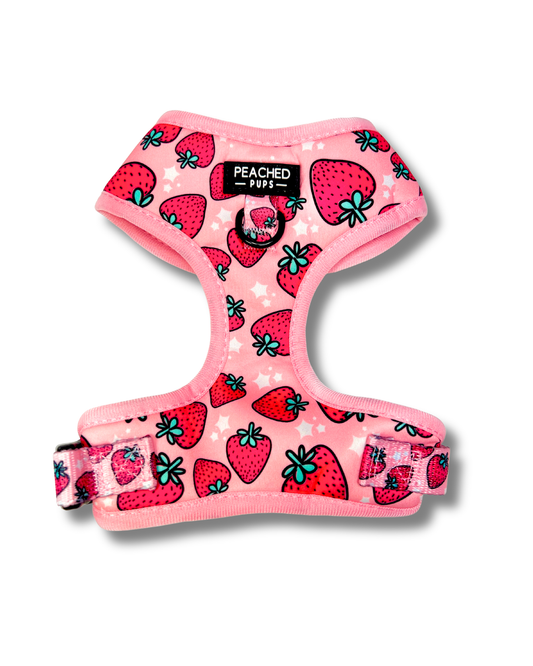 Strawberry Fields print adjustable dog harness with dual D-rings