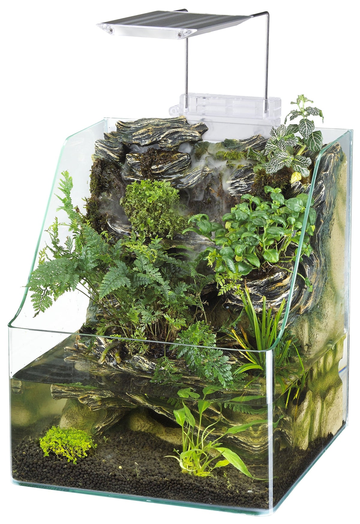 Penn-Plax Aqua Terrarium Planting Tank – 1.85 Gallon Glass Aquarium for Live Plants & Fish | Waterfall, LED Grow Light & Hidden Filter MJ's Pet Closet